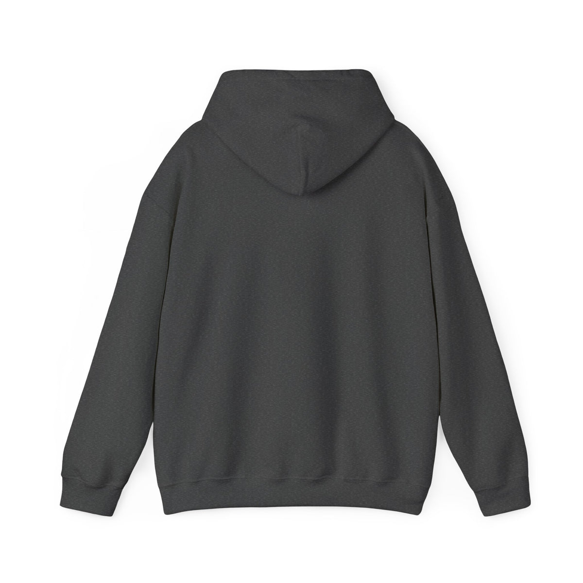 Scenic Rainbow Ark Hoodie