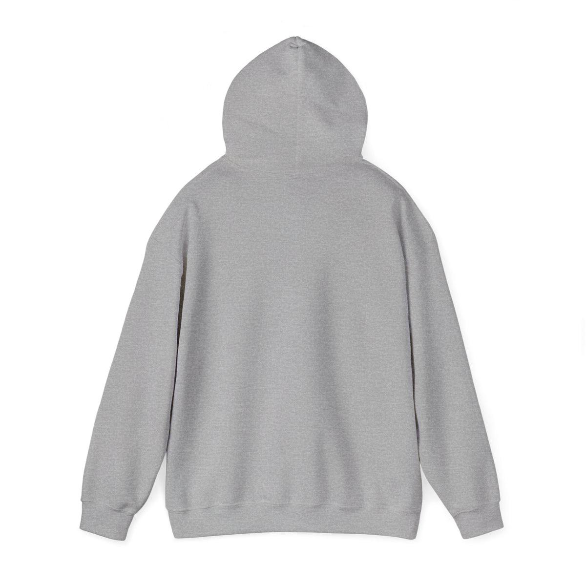 Scenic Rainbow Ark Hoodie