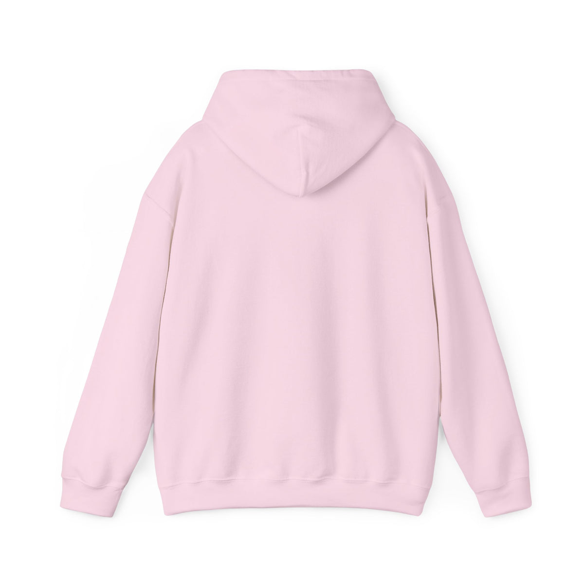 Scenic Rainbow Ark Hoodie