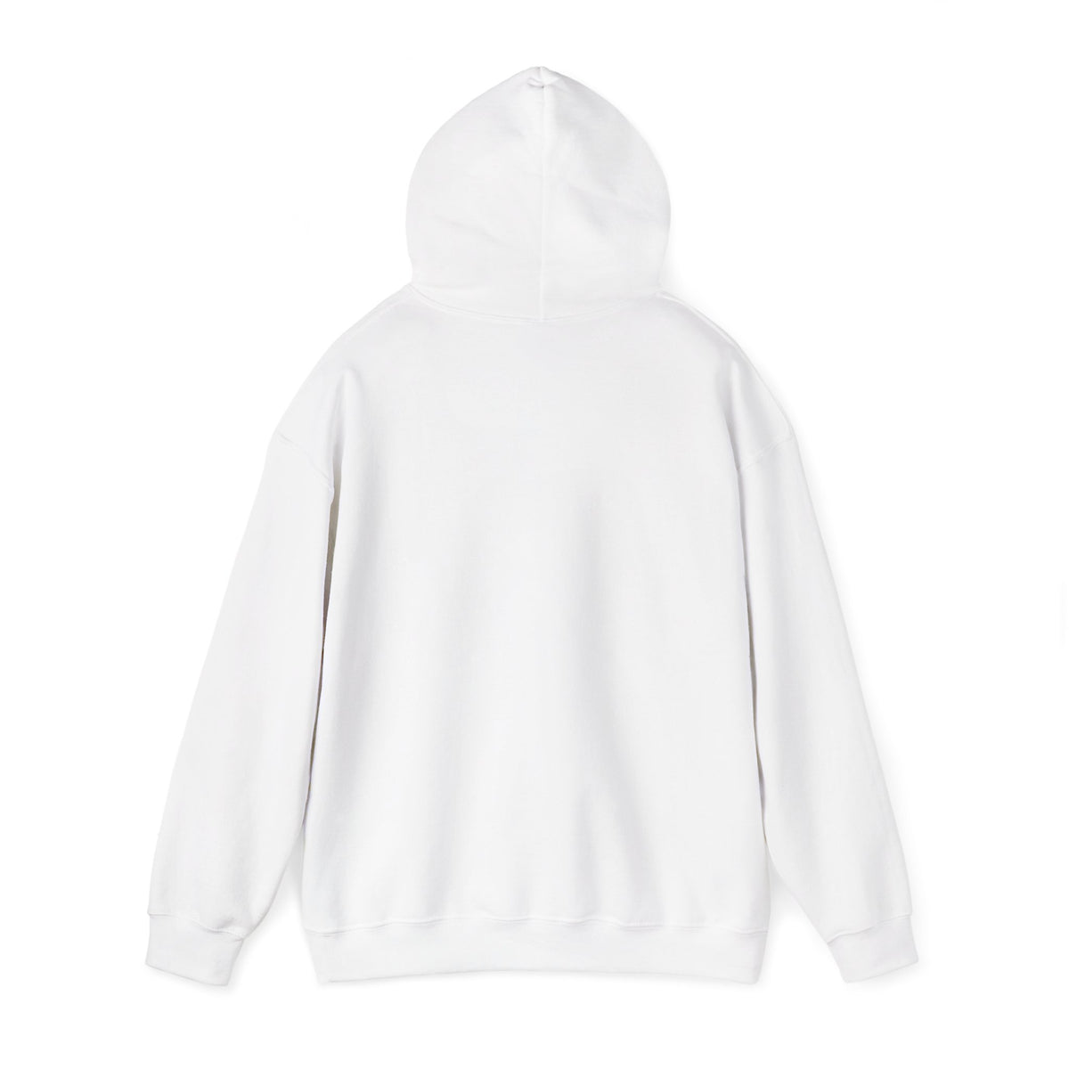Scenic Rainbow Ark Hoodie