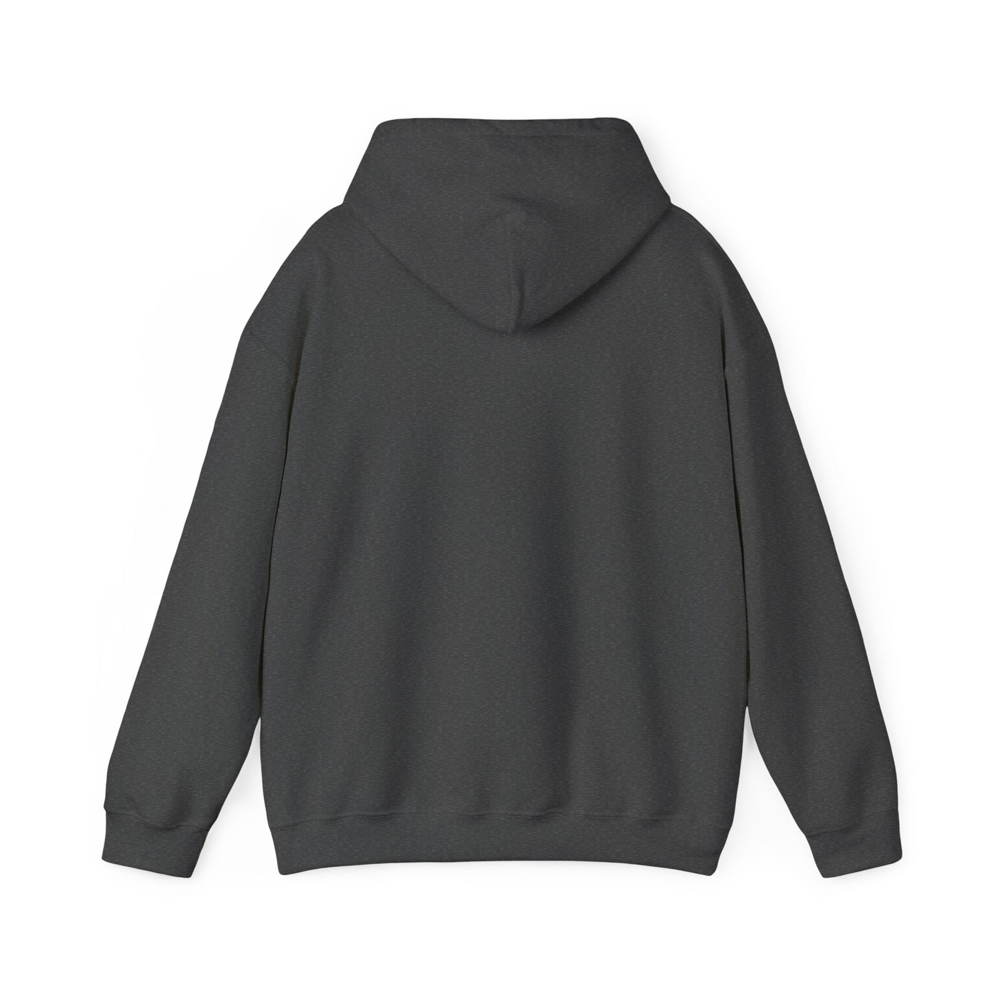 Scenic Rainbow Ark Hoodie