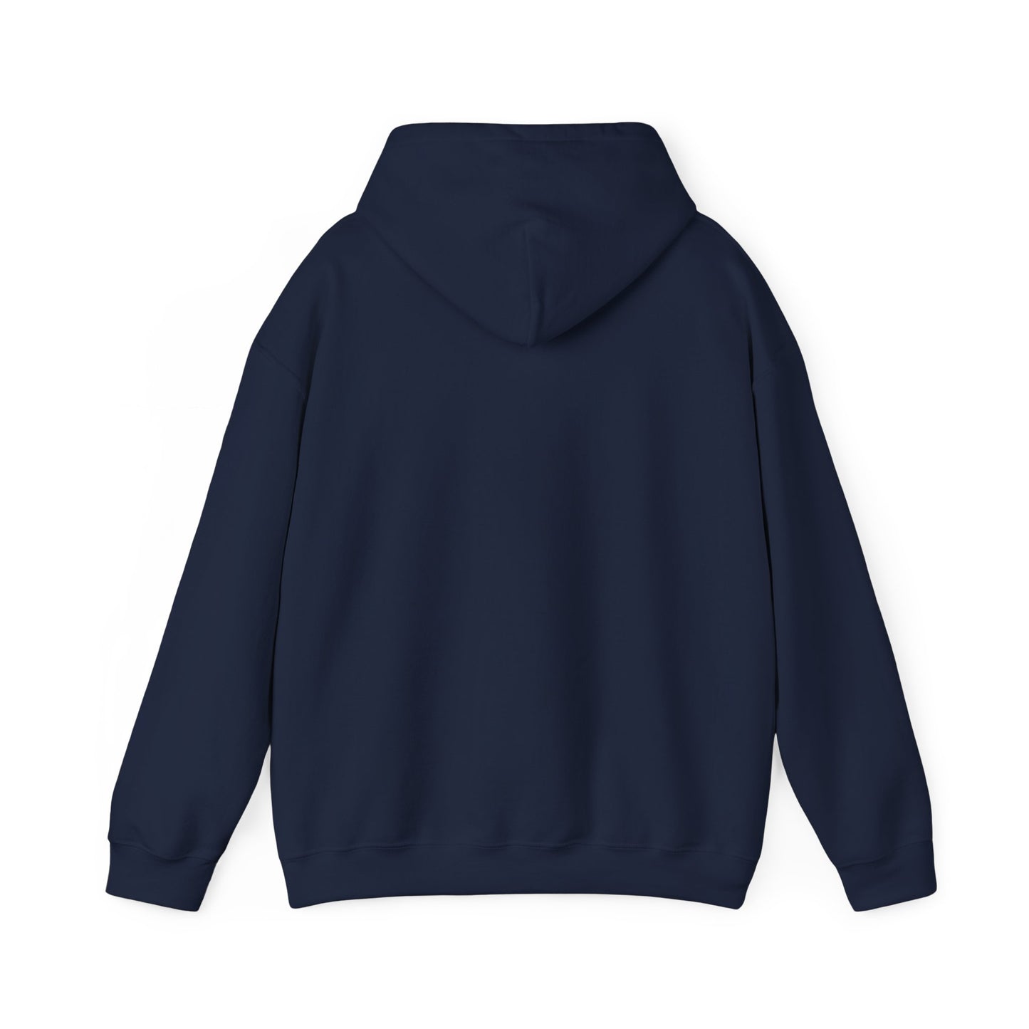 Scenic Rainbow Ark Hoodie