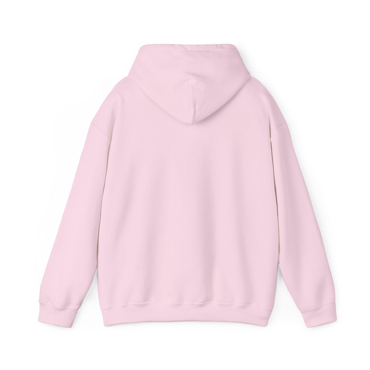Scenic Rainbow Ark Hoodie