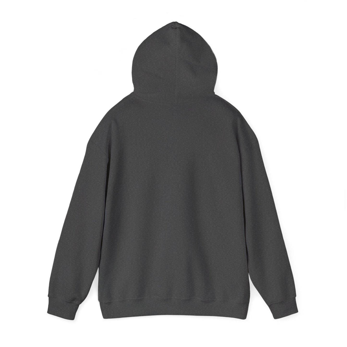 Scenic Rainbow Ark Hoodie