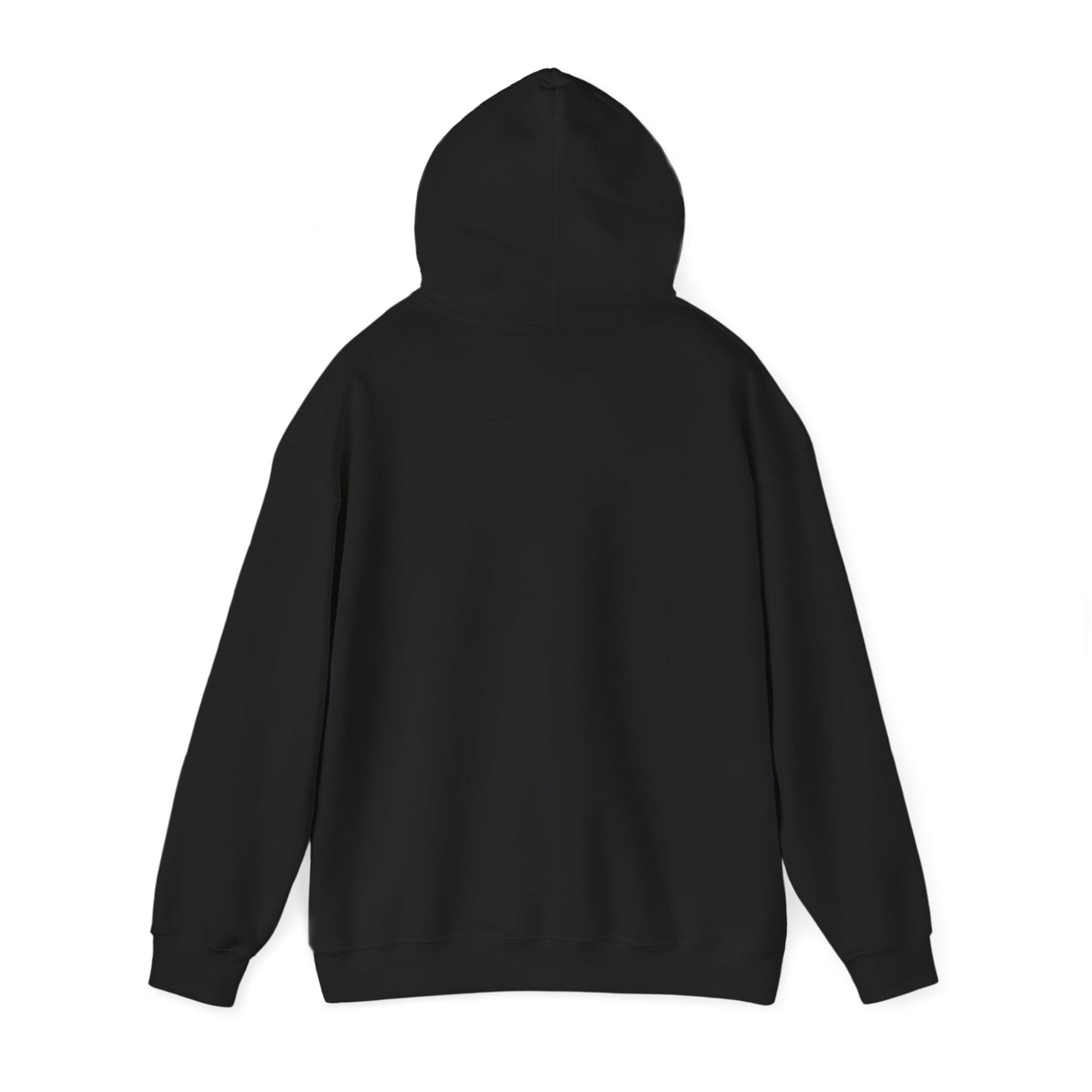 Scenic Rainbow Ark Hoodie