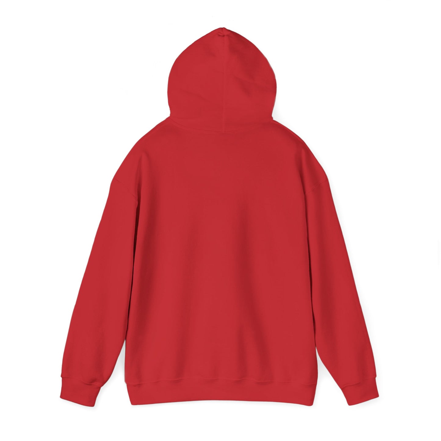 Scenic Rainbow Ark Hoodie
